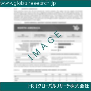 グローバルリサーチ調査資料のイメージ